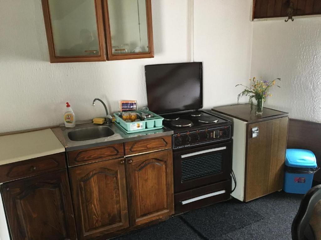 Prenociste Zivkovic Apartment Пирот Екстериор снимка